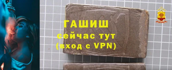 гашик Кулебаки