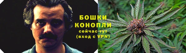 гашик Кулебаки