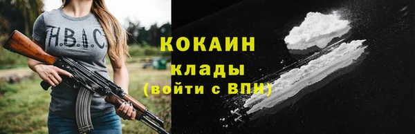 гашик Кулебаки