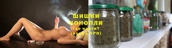 гашик Кулебаки