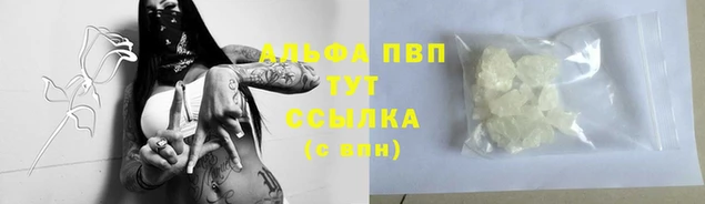 гашик Кулебаки