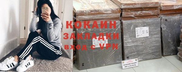 гашик Кулебаки