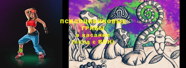 гашик Кулебаки