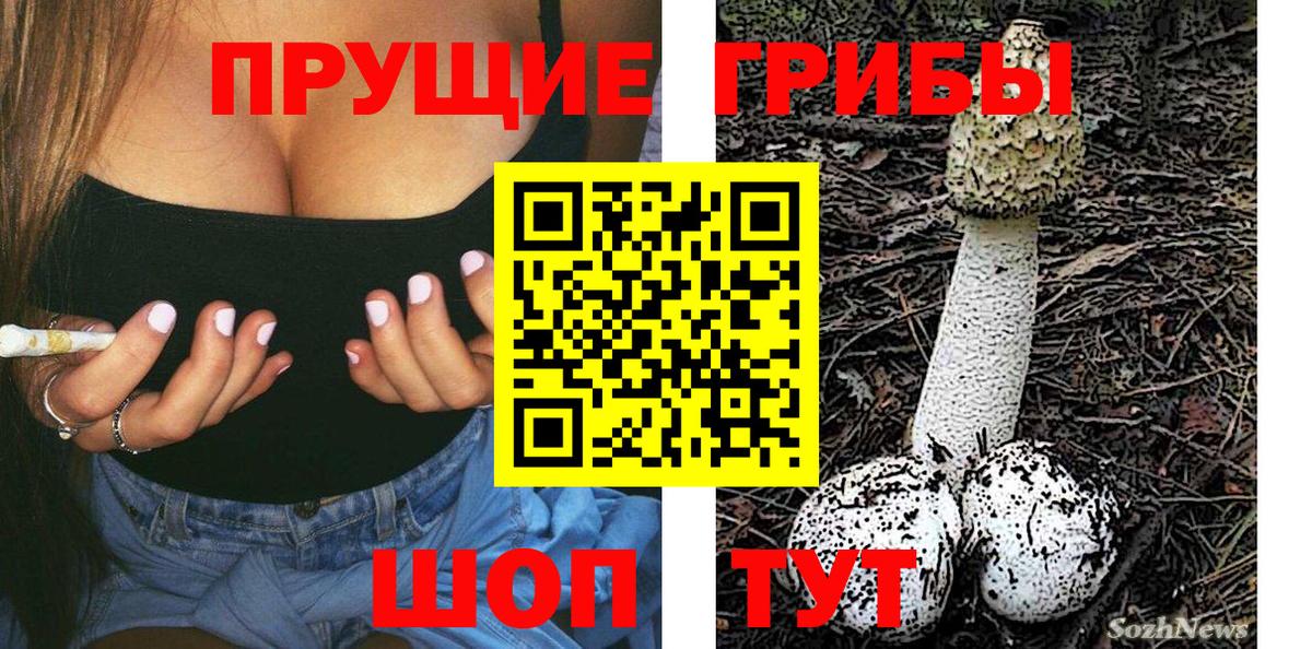 Псилоцибиновые грибы GOLDEN TEACHER  Вход с VPN  Рязань  Галлюциногенные грибы мицелий 