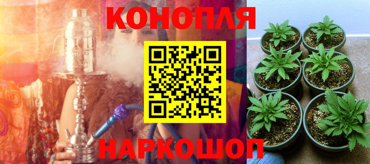 Бошки марихуана план  Марихуана марихуана  Каннабис SATIVA & INDICA  Рязань  Вход с VPN  Марихуана семена 